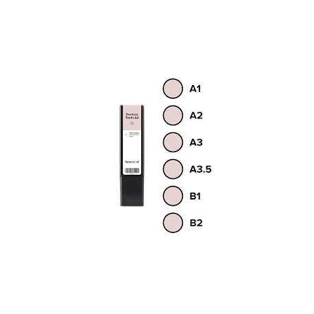 DENTURE TEETH A1